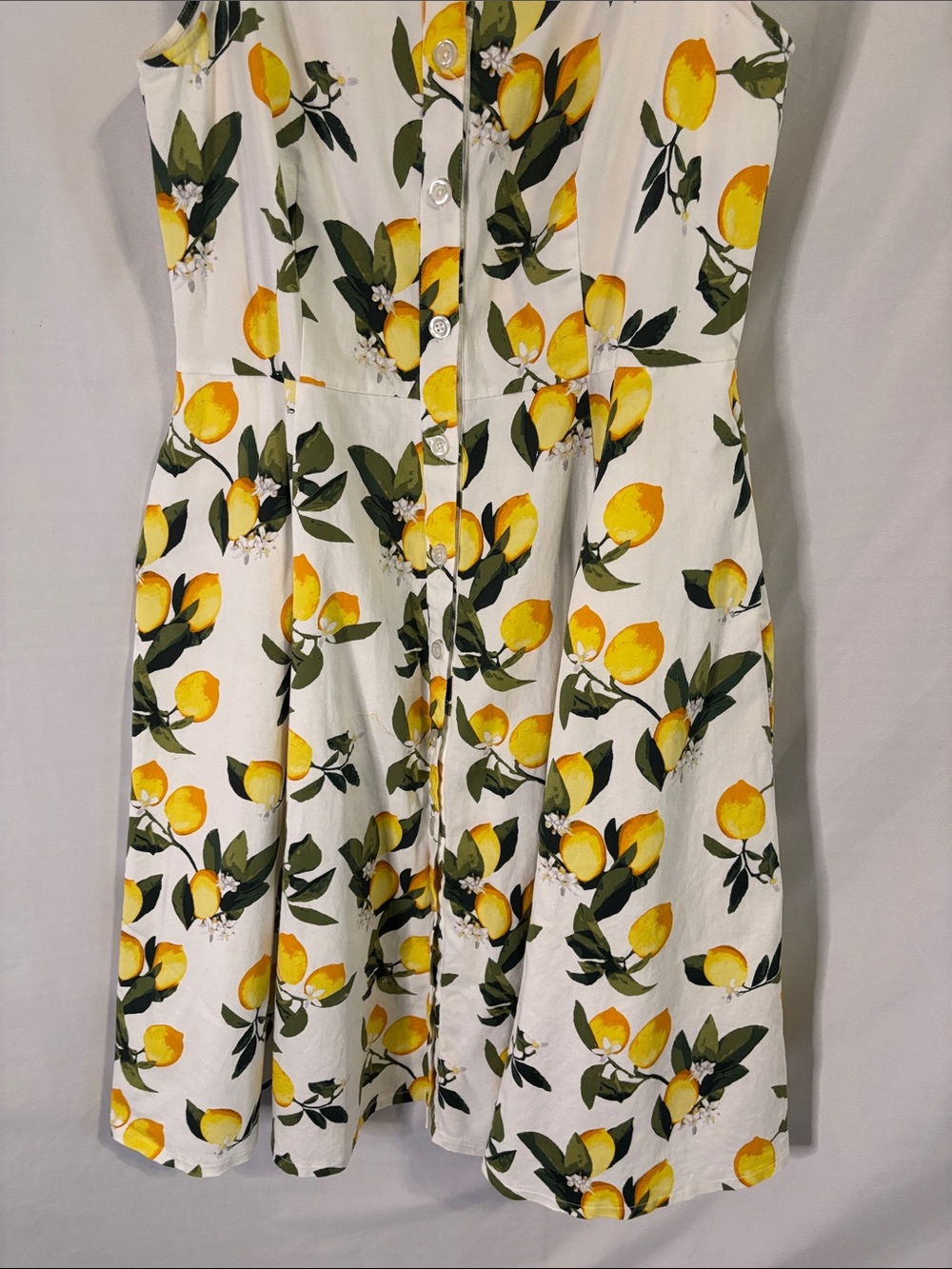 Chetta B Sleeveless Lemon Print Button Down Shirt Dress Size 14 Fit and Flare - Picture 4 of 8